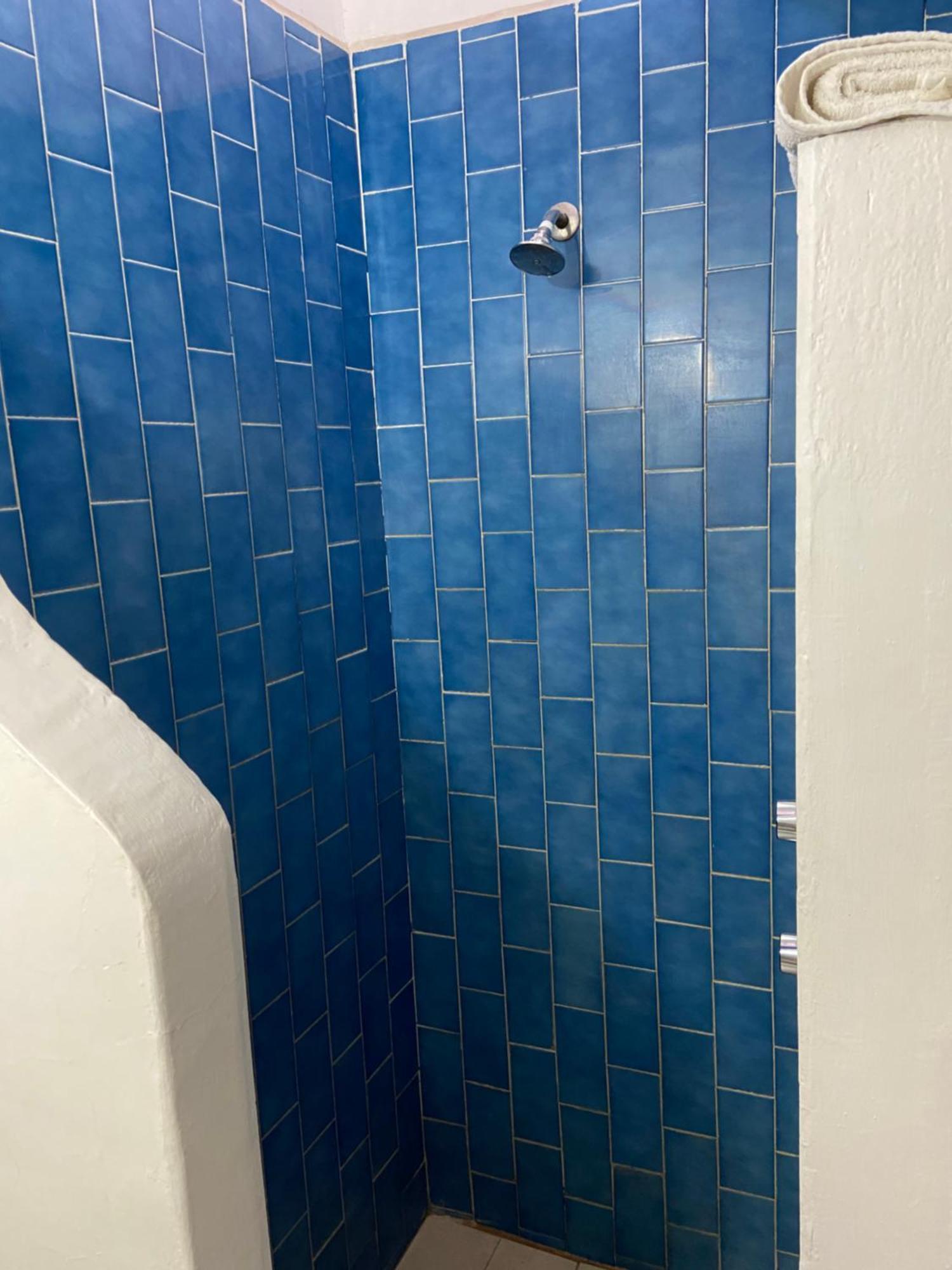 Meson Don Quijote Apartment Ajijic Exterior foto